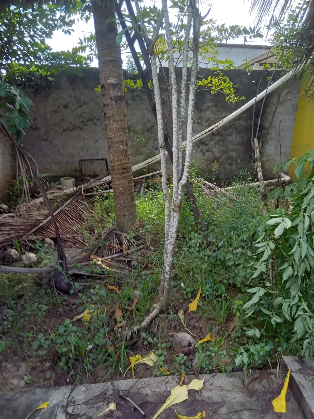 Imagem Casa com 3 Quartos à Venda, 250 m² em São Tomé - Salvador