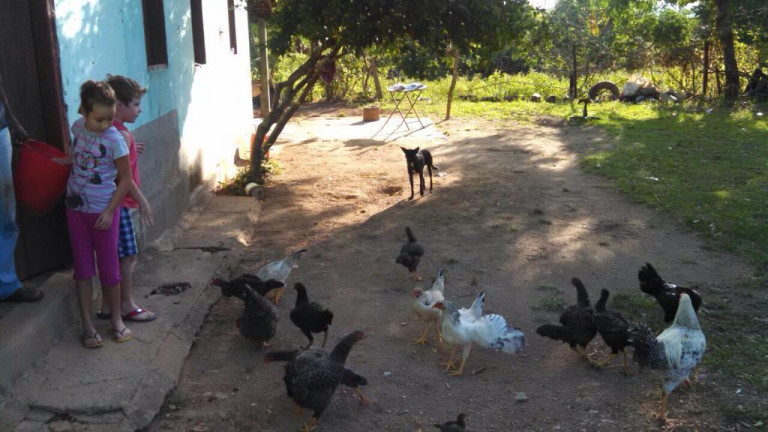 Imagem Chácara com 5 Quartos à Venda, em Centro - Simolândia