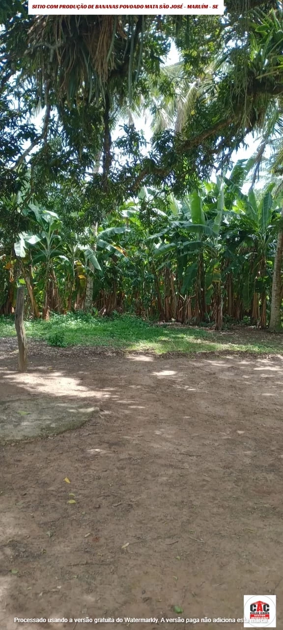 Foto do imóvel: Chácara com 2 Quartos à Venda, 80 m² em Maruim - Maruim