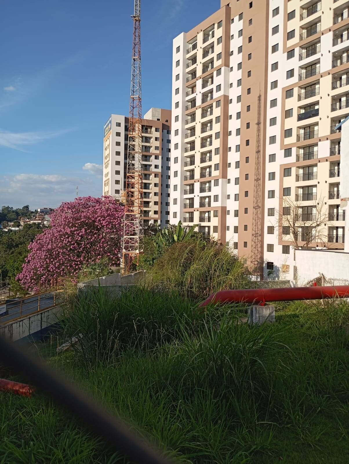 Imagem Apartamento com 2 Quartos à Venda, 49 m² em Vera Tereza - Caieiras