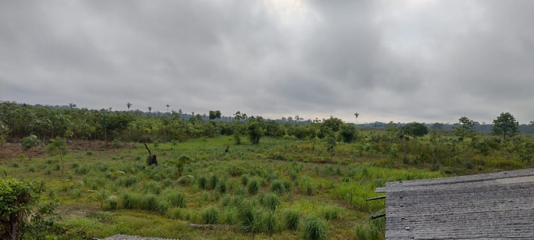 Imagem Terreno à Venda, 2.000 m² em Zona Rural - Humaitá