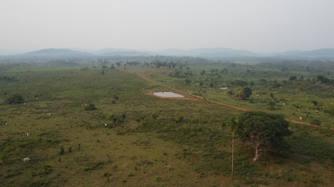 Foto do imóvel: Fazenda à Venda, 1 m²em Centro  - São Félix do Xingu