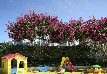 Imagem do Condomínio Allegro Alto Da Mooca em São Paulo