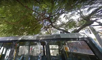 Condomínio Do Conjunto Residêncial Celso Murdoch Fernandes em Rio De Janeiro