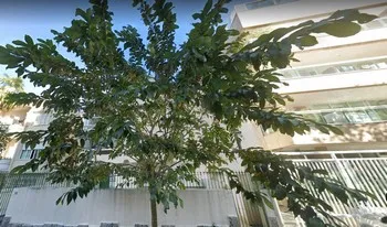 Condomínio Do Edifício Carlos Thompson Flores em Rio De Janeiro