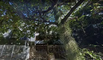 Condomínio Do Edifício Fernando Nogueira De Souza em Rio De Janeiro