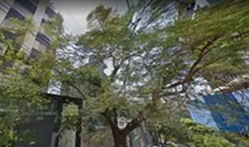 Condomínio Do Edifício Palazzo Di Monaco em Belo Horizonte