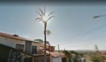 Imagem do Condomínio Do Edifício Pau Brasil em Sorocaba