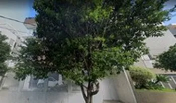 Condomínio Do Edifício Residêncial Sophya em Belo Horizonte