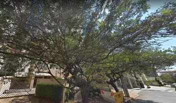 Condomínio Alecrins em Campinas