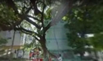 Condomínio Parque Florestal em Salvador