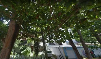 Condomínio Residêncial Araruna em Rio De Janeiro