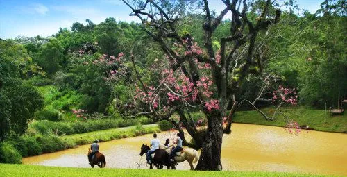 Imagem do Condomínio Fazenda Dona Carolina Itatiba em Itatiba