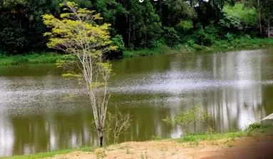 Imagem do Condomínio Lago Do Sol Cotia em Cotia