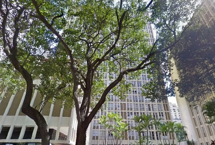 Condomínio Riviera Higienópolis em São Paulo