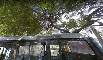 Condomínio Do Conjunto Residêncial Celso Murdoch Fernandes em Rio De Janeiro
