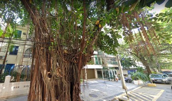 Condomínio Do Edifício Andréa em Rio De Janeiro