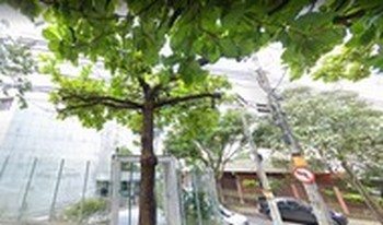 Condomínio Do Edifício Residêncial Village Anchieta em Belo Horizonte