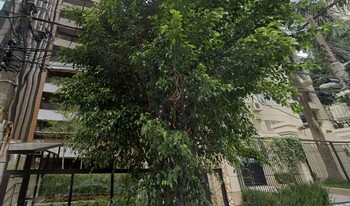 Condomínio Dona Ana Wajsbrot em São Paulo