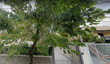 Condomínio Dos Miosótis em São Paulo