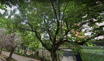 Condomínio Fra Bartolomeo em Porto Alegre