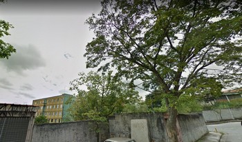 Condomínio Pelicanos Ii em São Paulo