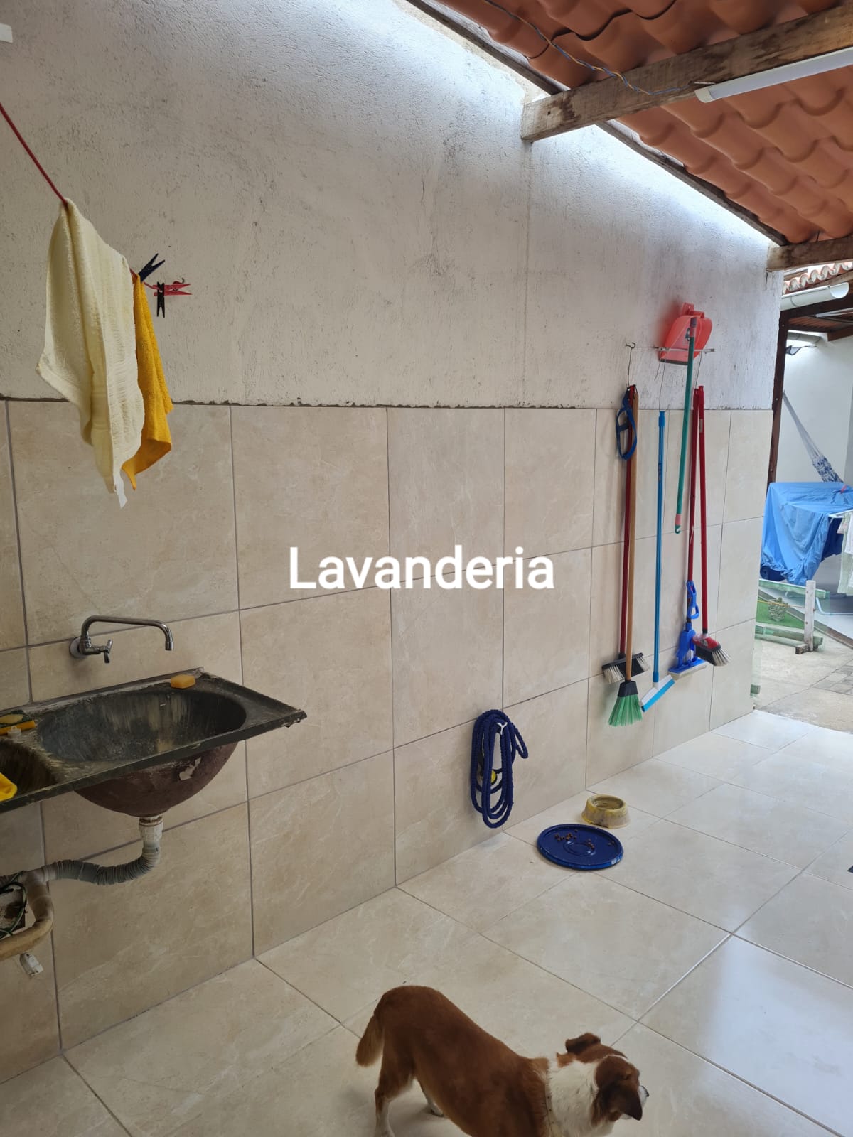 Imagem Casa com 3 Quartos à Venda, 330 m² em Nossa Senhora da Apresentação - Natal