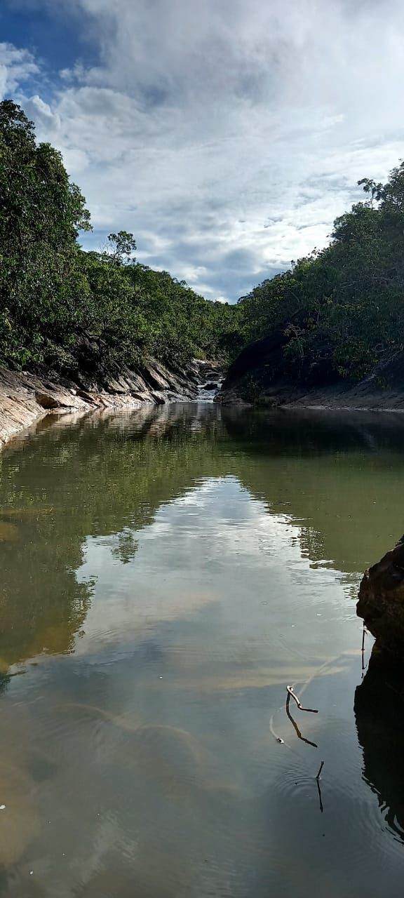 Imagem Fazenda à Venda, 630 HAem ZONA RURAL - Goiás