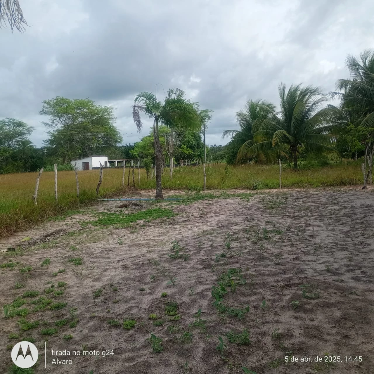 Imagem Fazenda à Venda, 14 HA em Vera Cruz - Vera Cruz
