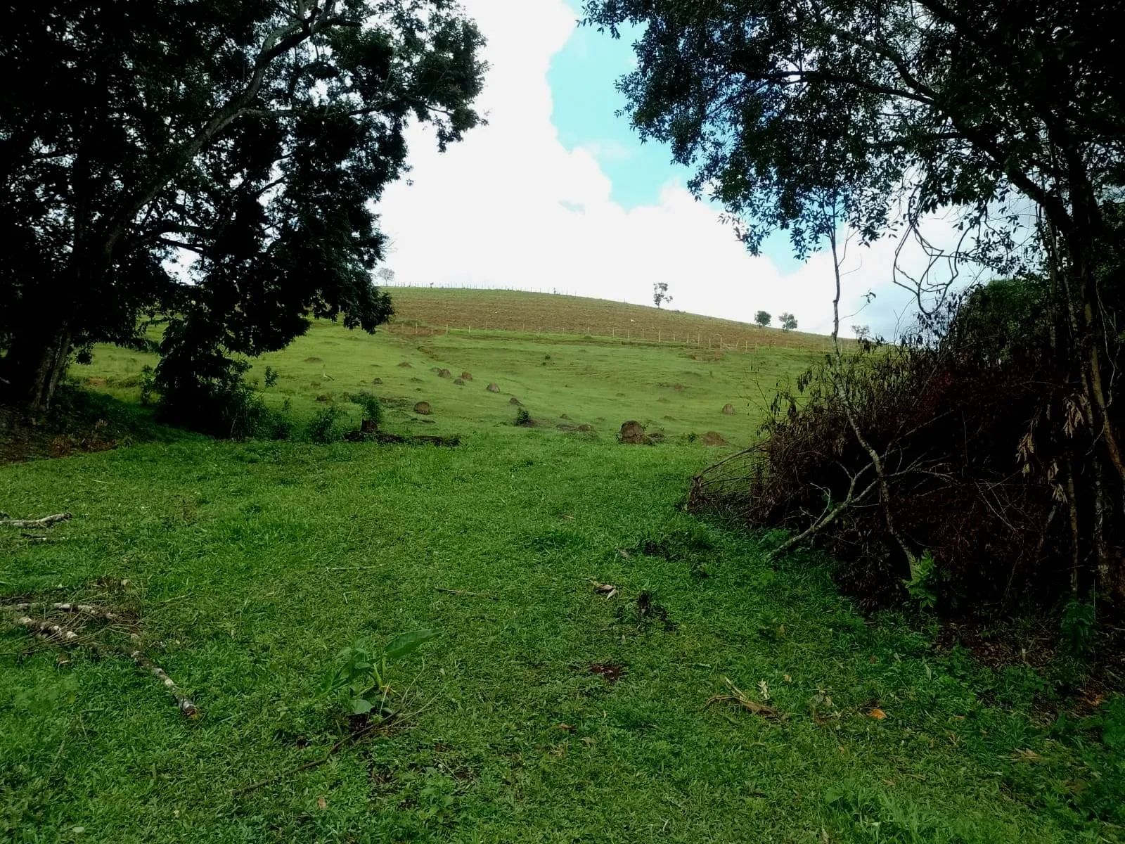 Imagem Fazenda à Venda, 5 Alq. MG em Caldas - Caldas