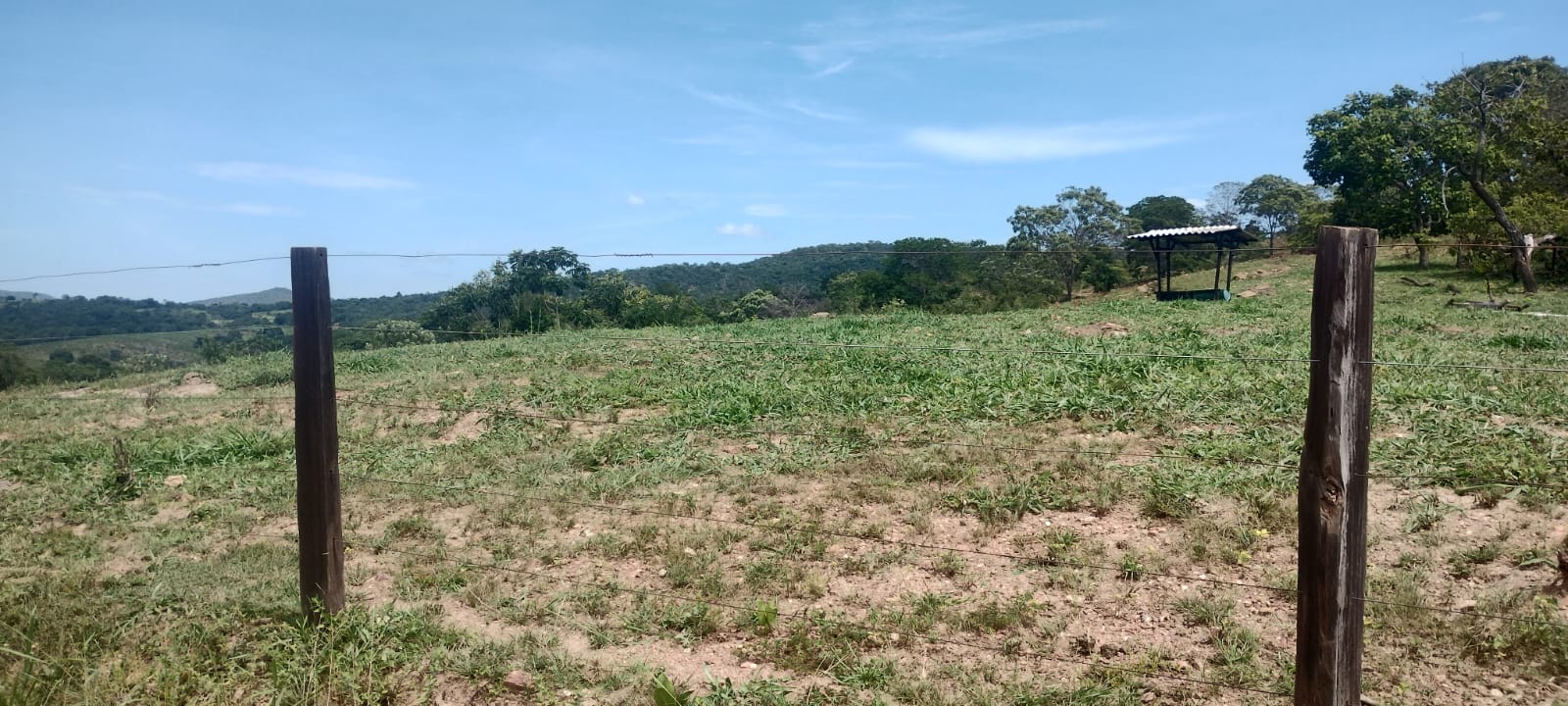 Imagem Fazenda à Venda, 16 Alq GO em SN - Caldas Novas