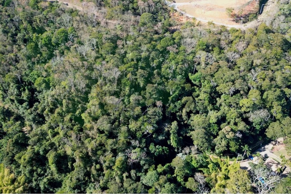 Foto do imóvel: Terreno à Venda, 21.230 m² em Pedro do Rio - Petrópolis