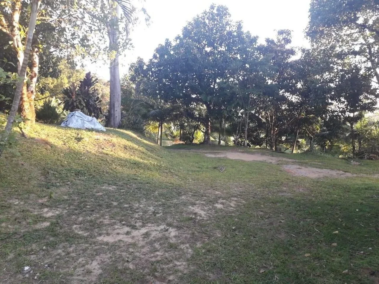 Imagem Terreno à Venda, 302000 m² em Juquiá - Juquiá