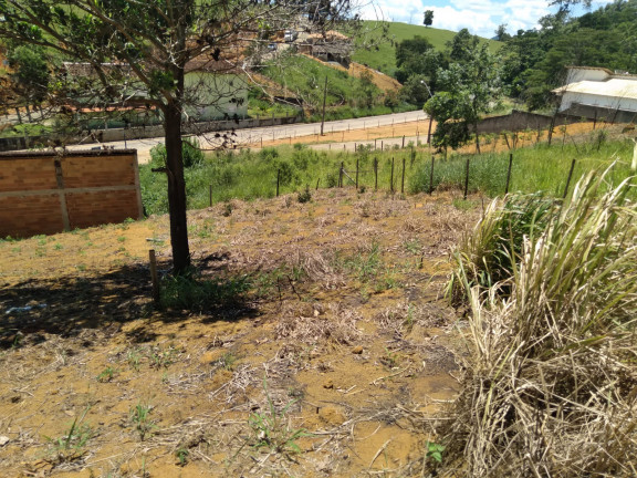 Imagem Terreno à Venda, 300 m² em Oseias  - Fundão