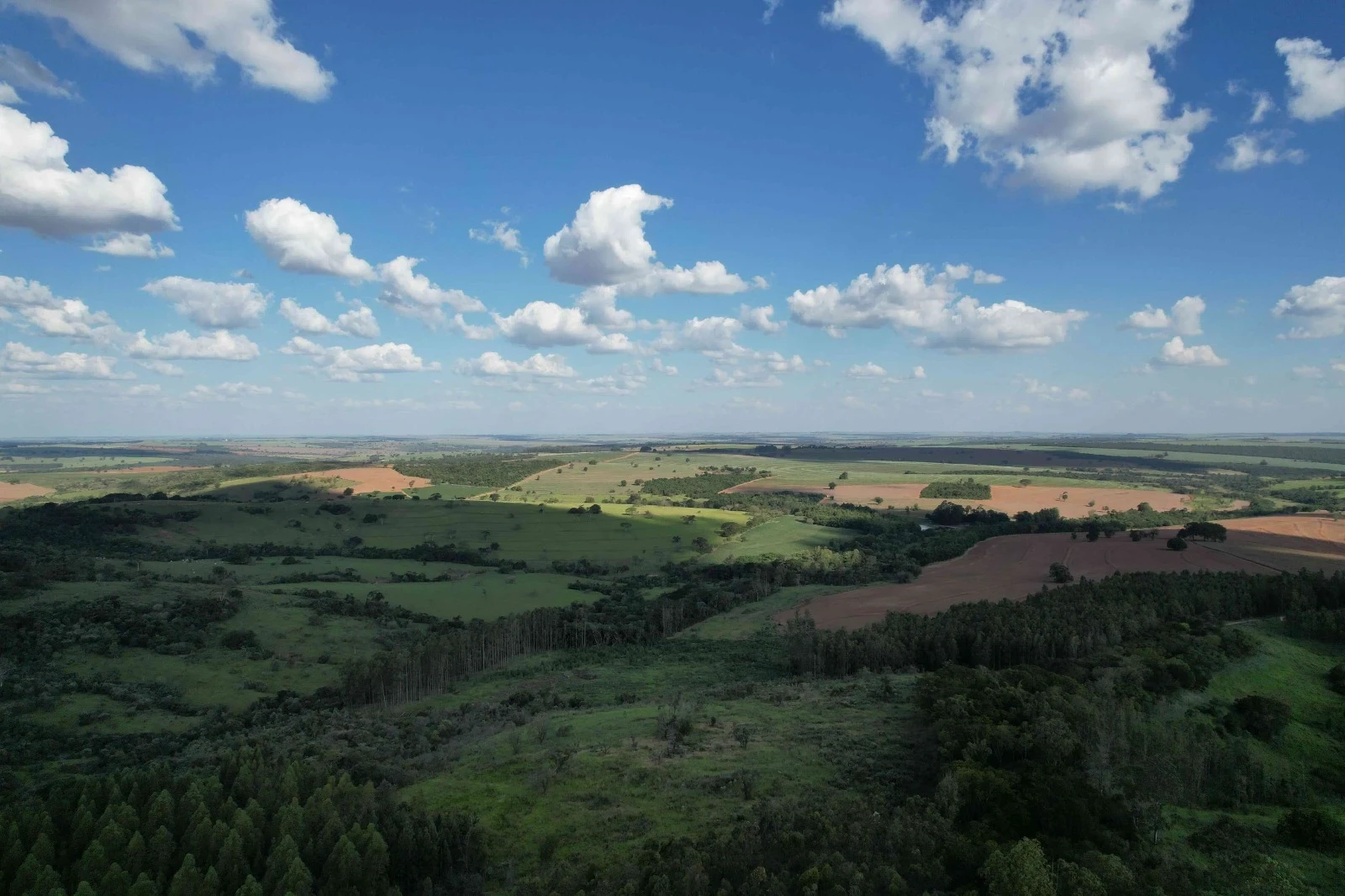 Imagem Fazenda à Venda, 138 HA em Área Rural de Echaporã - Echaporã
