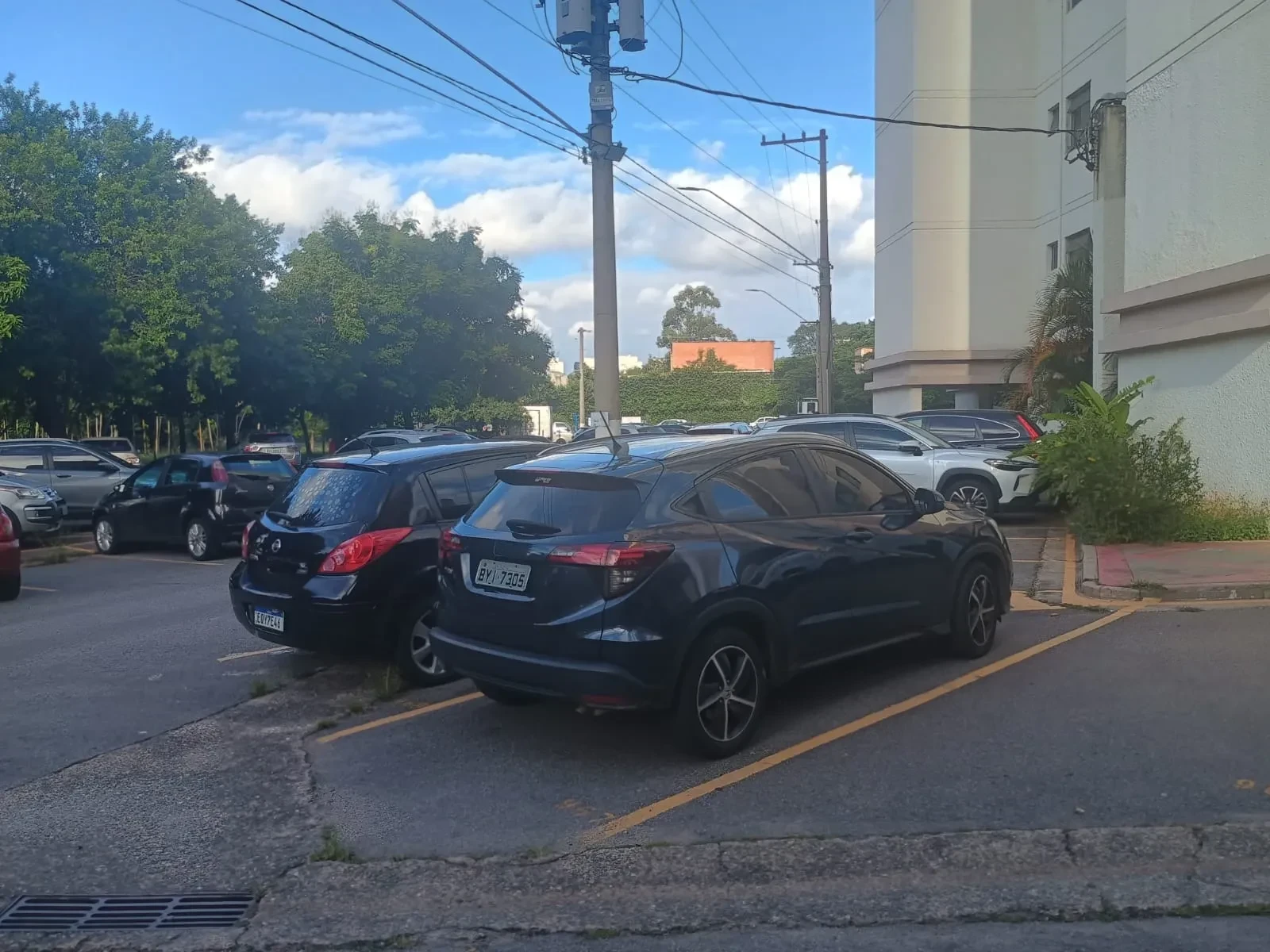 Imagem Apartamento com 3 Quartos à Venda, 62 m² em Brás - São Paulo
