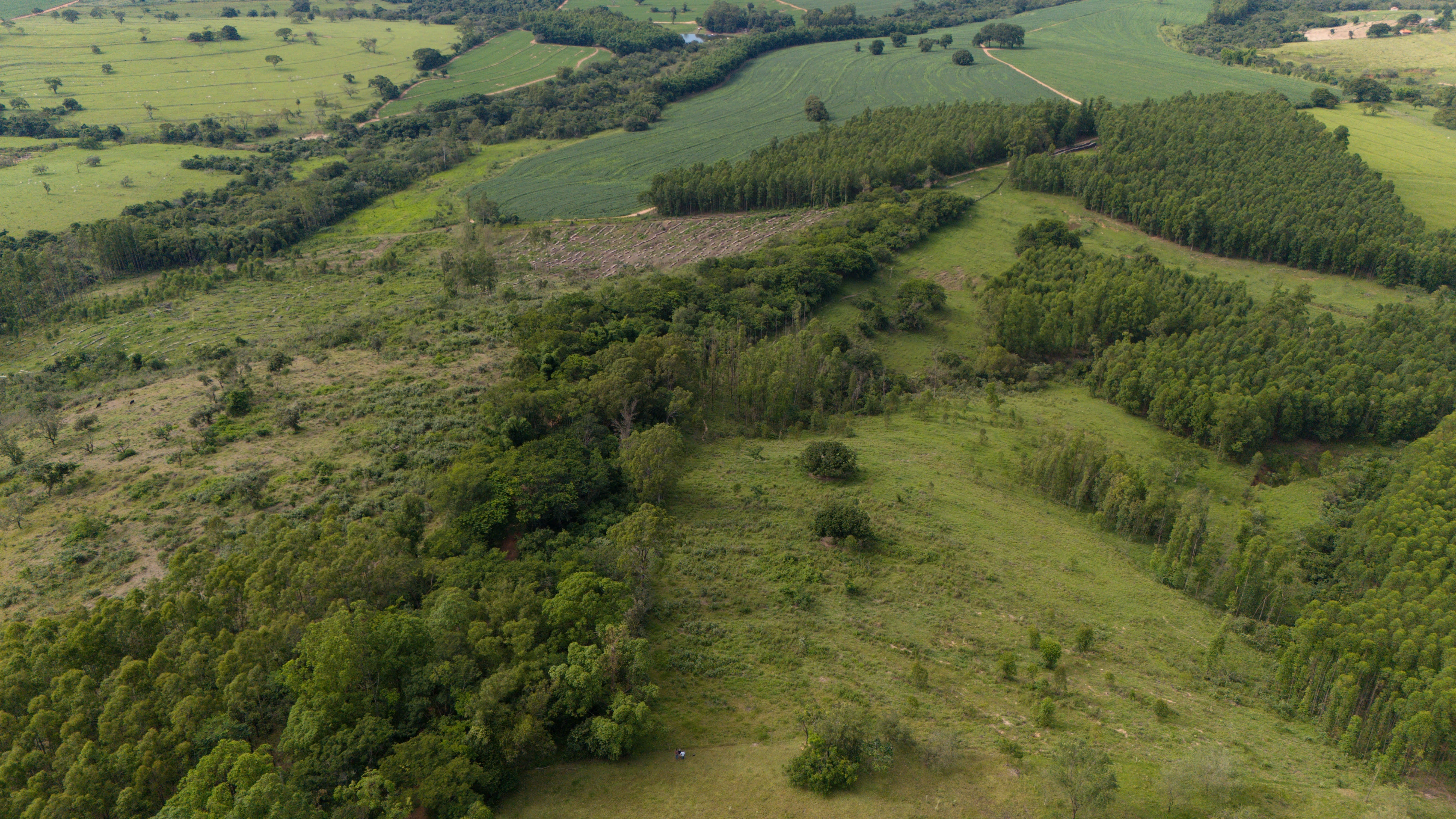 Imagem Fazenda à Venda, 138 HA em Área Rural de Echaporã - Echaporã