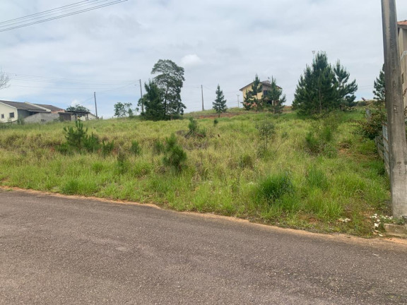 Imagem Terreno à Venda,  em Linha Anta - Criciúma