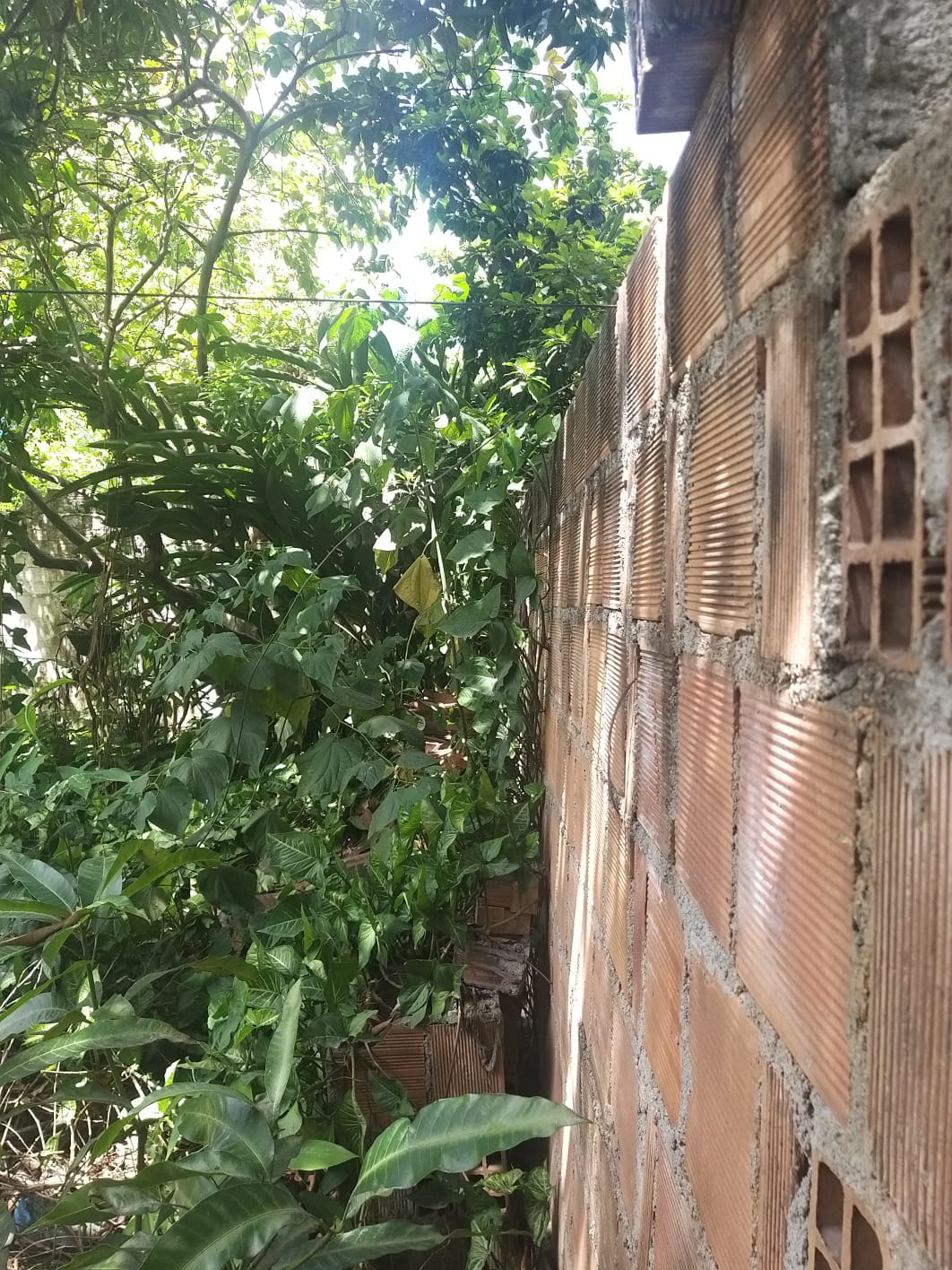Foto do imóvel: Terreno à Venda, 1.000 m² em Várzea - Recife