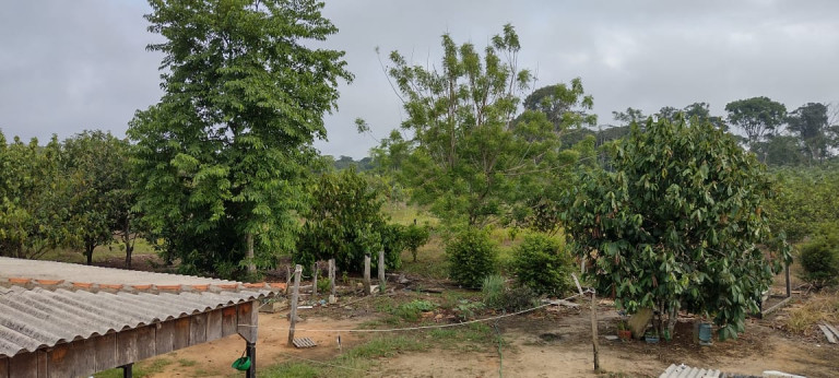 Imagem Terreno à Venda, 2.000 m² em Zona Rural - Humaitá