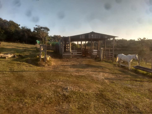 Imagem Fazenda à Venda, 36.000 m² em Aparecidinha - Araçoiaba da Serra