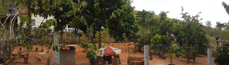 Imagem Chácara com 1 Quarto à Venda, 840 m² em Bocaina - Cachoeira Paulista