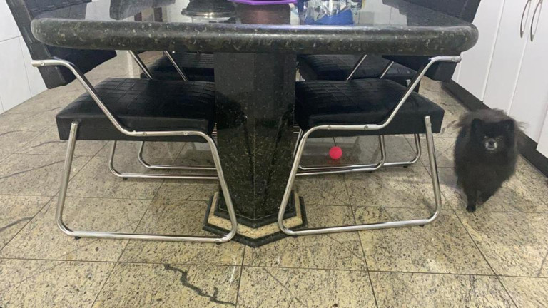 Imagem Sobrado com 3 Quartos à Venda, 300 m² em Jardim Danfer - São Paulo