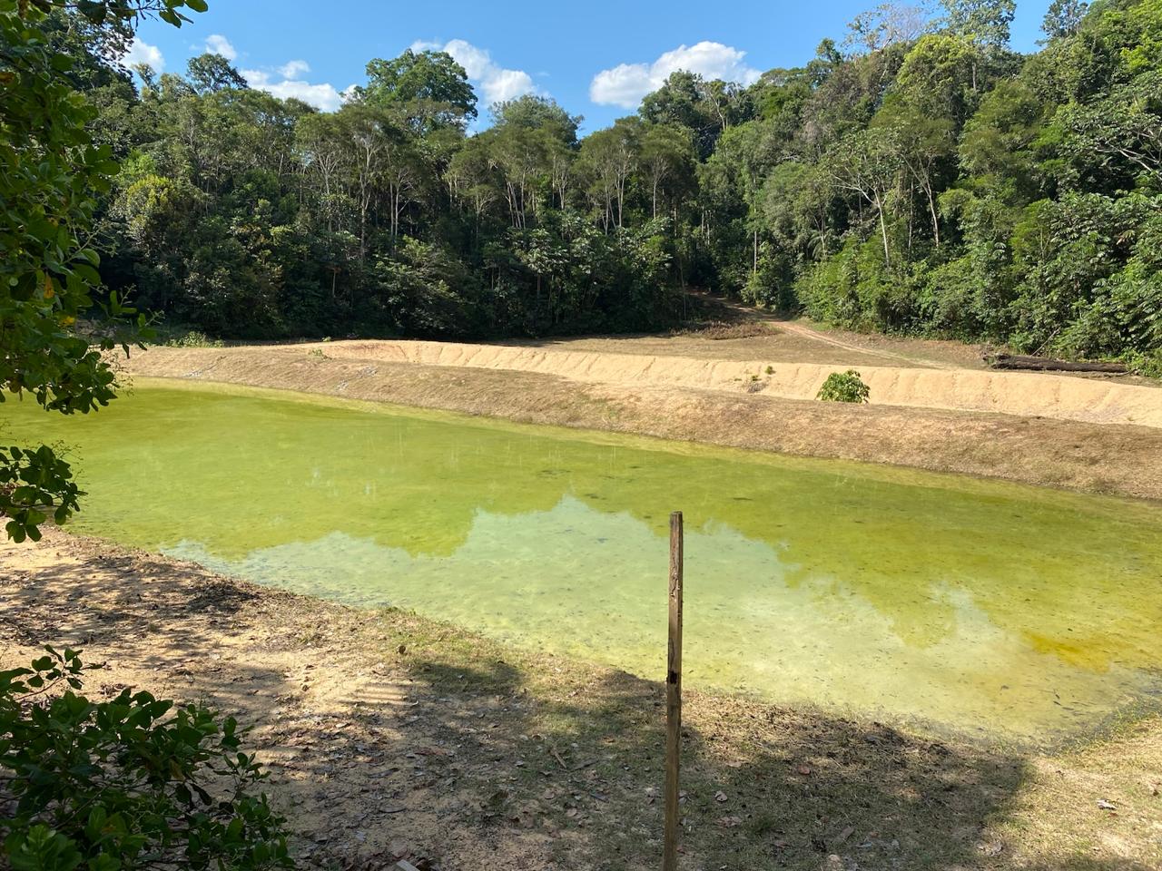 Foto do imóvel: Chácara com 3 Quartos à Venda, 25.000 m² em Presidente Figueiredo - Presidente Figueiredo