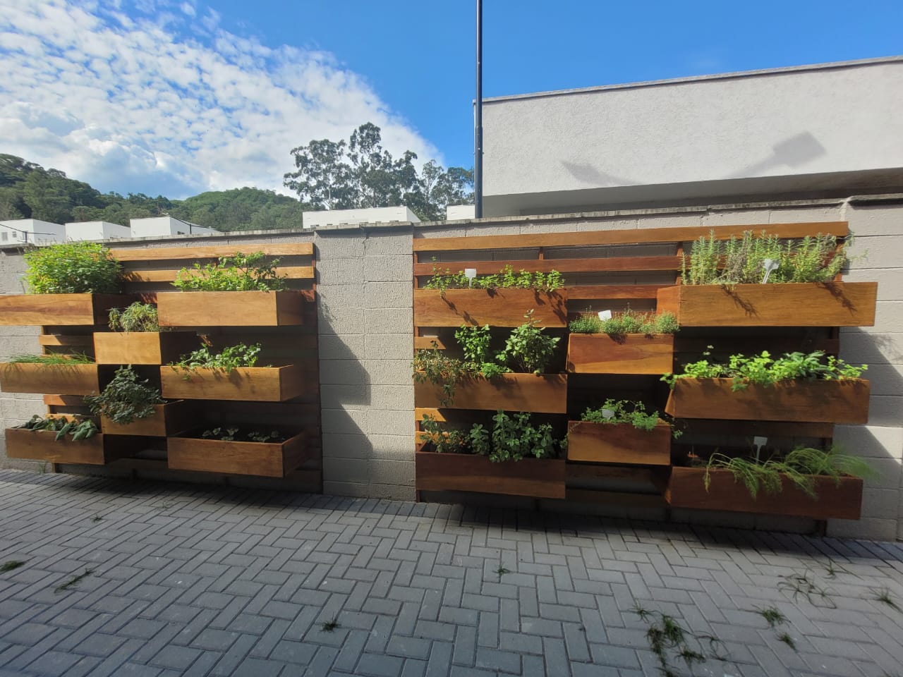 Imagem Apartamento com 2 Quartos à Venda, 48 m² em Vargem Grande - Rio de Janeiro