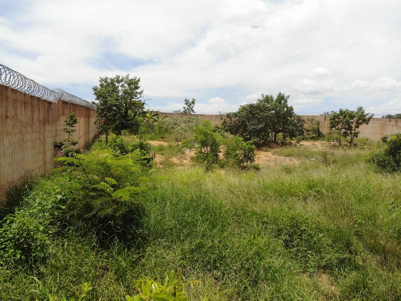 Imagem Fazenda à Venda, 100000 m² em Boa Esperança - Curvelo