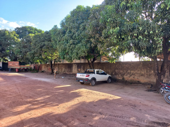 Terreno para Alugar, 6.000 m² em Floresta - Santarém