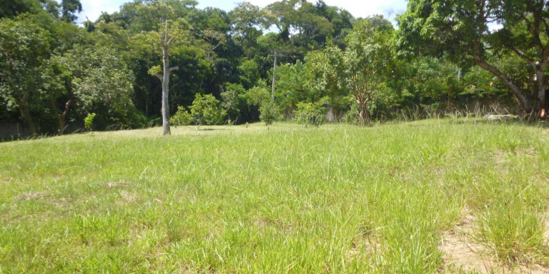 Imagem Chácara com 2 Quartos à Venda, 6.300 m² em Centro - Santa Isabel