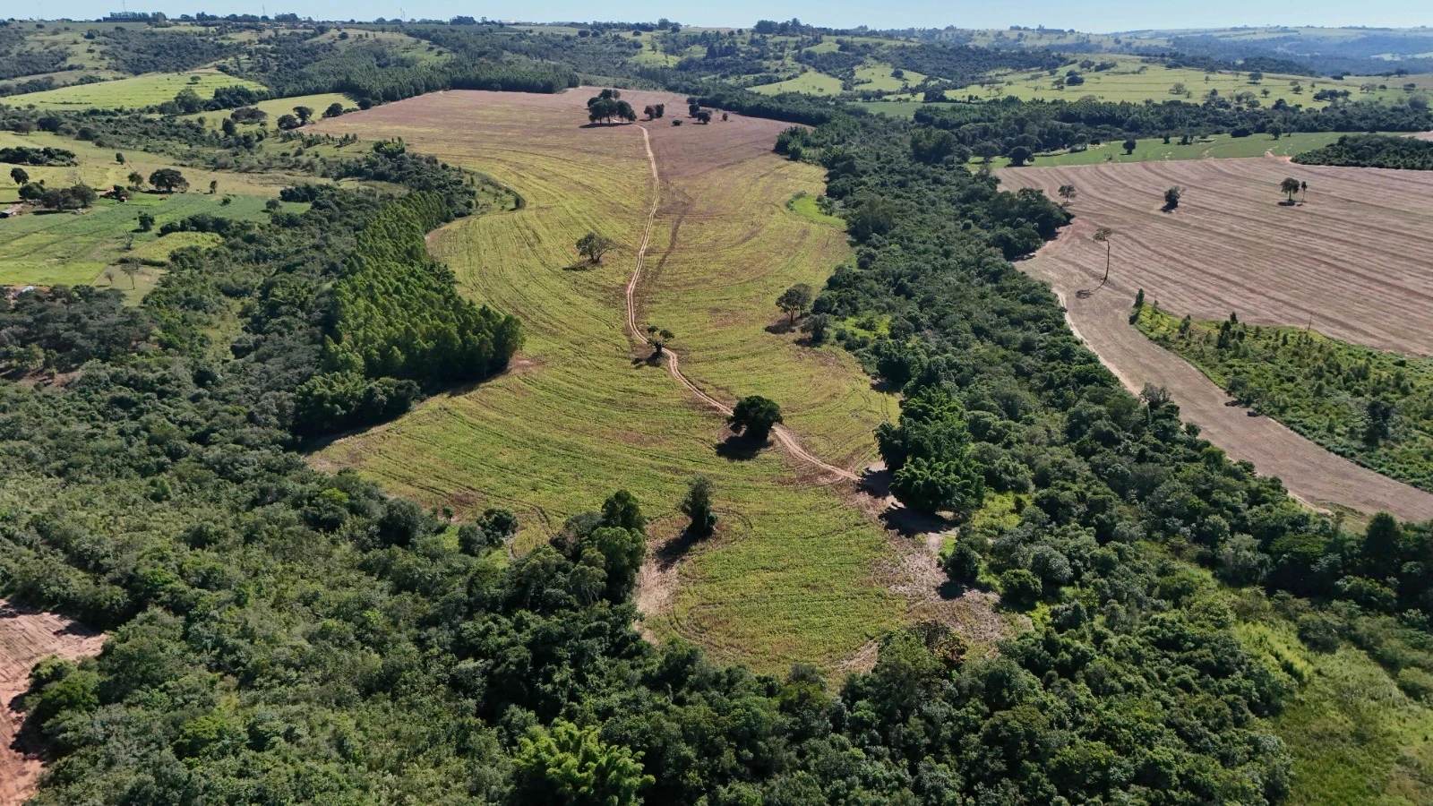 Imagem Fazenda à Venda, 138 HA em Área Rural de Echaporã - Echaporã