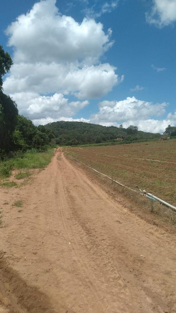 Foto do imóvel: Fazenda à Venda, 6 Alq. SP em Valadão - Piedade